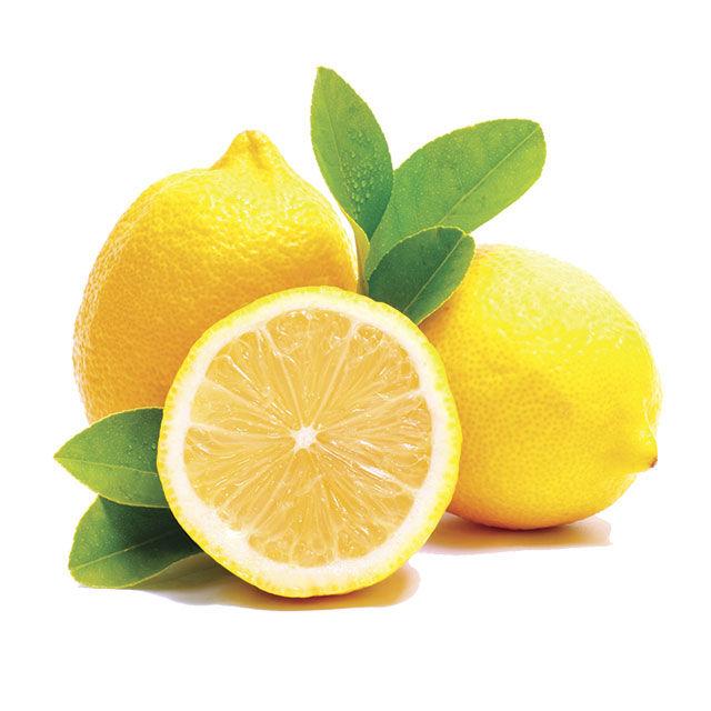 Eureka Lemons Cartons 668 (Min. Order)