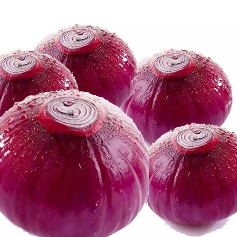 Red onion Bag 12 Tons (Min. Order)