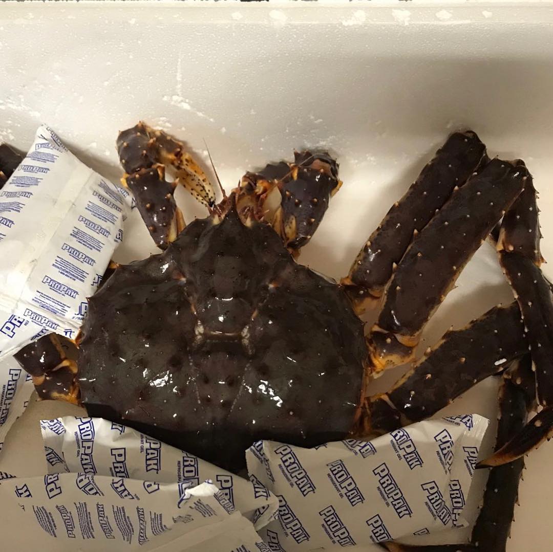 king crab for sale online 