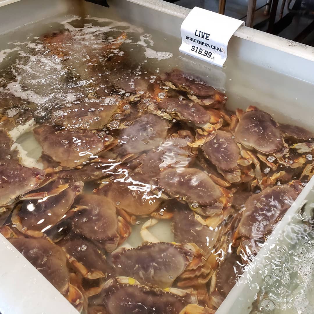 Live Dungeness Crab For Sale