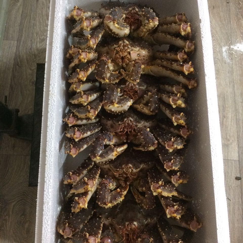 live king crab for sale 
